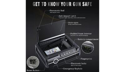 Dalmbox Biometric Gun Safe
